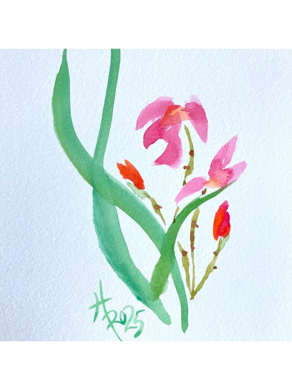 Happy Orchid Original Watercolor Painting 8x10in Matted Frame Ready